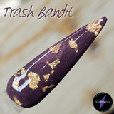 Trash Bandit