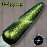 Luxe Lacquer (Magnetic) - Hodgepodge