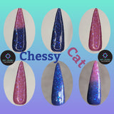 Chessy Cat