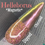 Helleborus (magnetic)