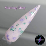 Morning Glory